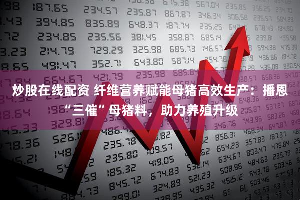 炒股在线配资 纤维营养赋能母猪高效生产：播恩“三催”母猪料，助力养殖升级