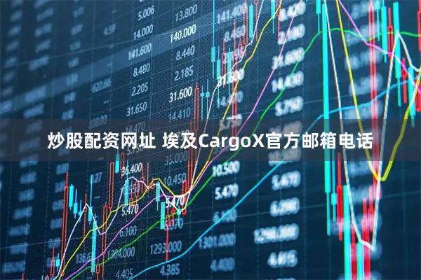 炒股配资网址 埃及CargoX官方邮箱电话