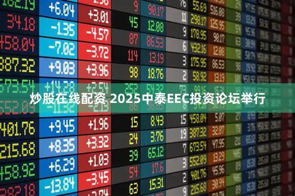 炒股在线配资 2025中泰EEC投资论坛举行