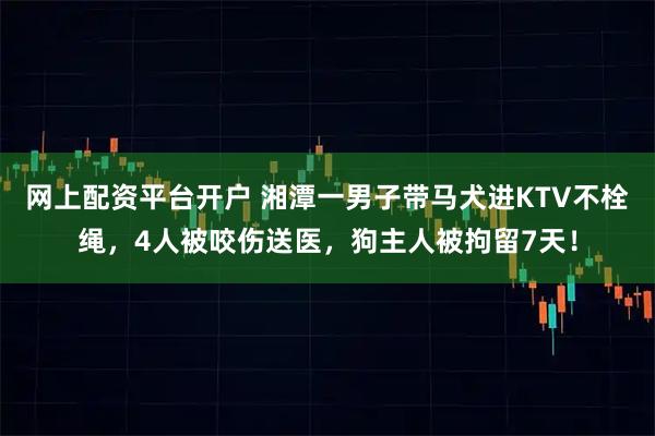 网上配资平台开户 湘潭一男子带马犬进KTV不栓绳，4人被咬伤送医，狗主人被拘留7天！