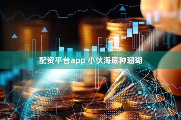 配资平台app 小伙海底种珊瑚