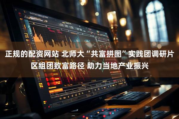 正规的配资网站 北师大“共富拼图”实践团调研片区组团致富路径 助力当地产业振兴