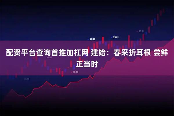 配资平台查询首推加杠网 建始：春采折耳根 尝鲜正当时