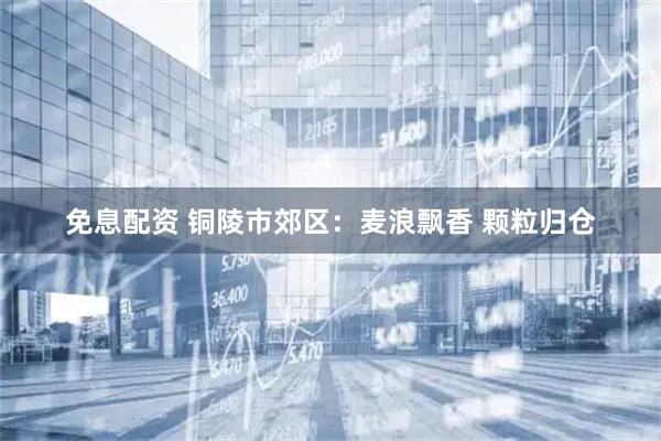免息配资 铜陵市郊区：麦浪飘香 颗粒归仓